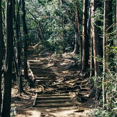 王者之击手游(暂未上线)v1.0 官方安卓版