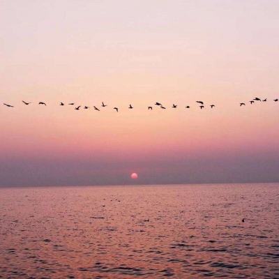 九州劫测试版下载